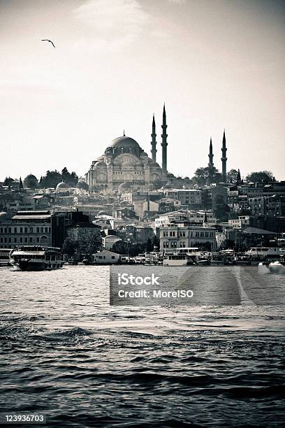 Panorama De La Ciudad De Estambul Monocromo Foto de stock y más banco de imágenes de Arquitectura - Arquitectura, Arquitectura exterior, Arquitectura islámica