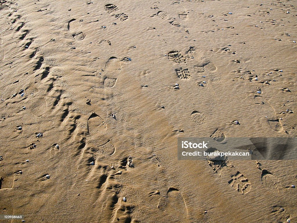 Várias faixas na areia, incluindo pegadas e tire, Turquia - Foto de stock de Pegada de animal royalty-free