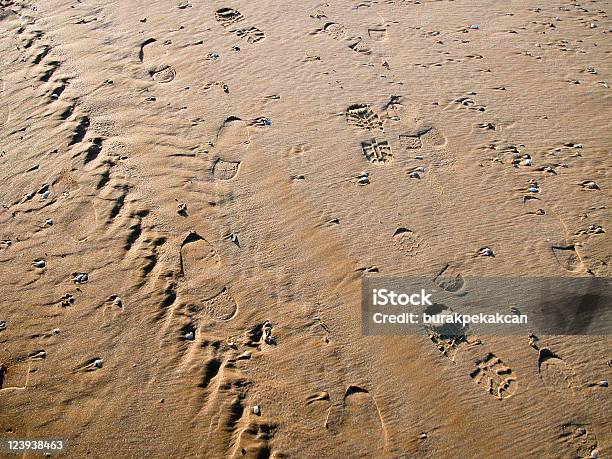 Foto de Várias Faixas Na Areia Incluindo Pegadas E Tire Turquia e mais fotos de stock de Pegada de animal