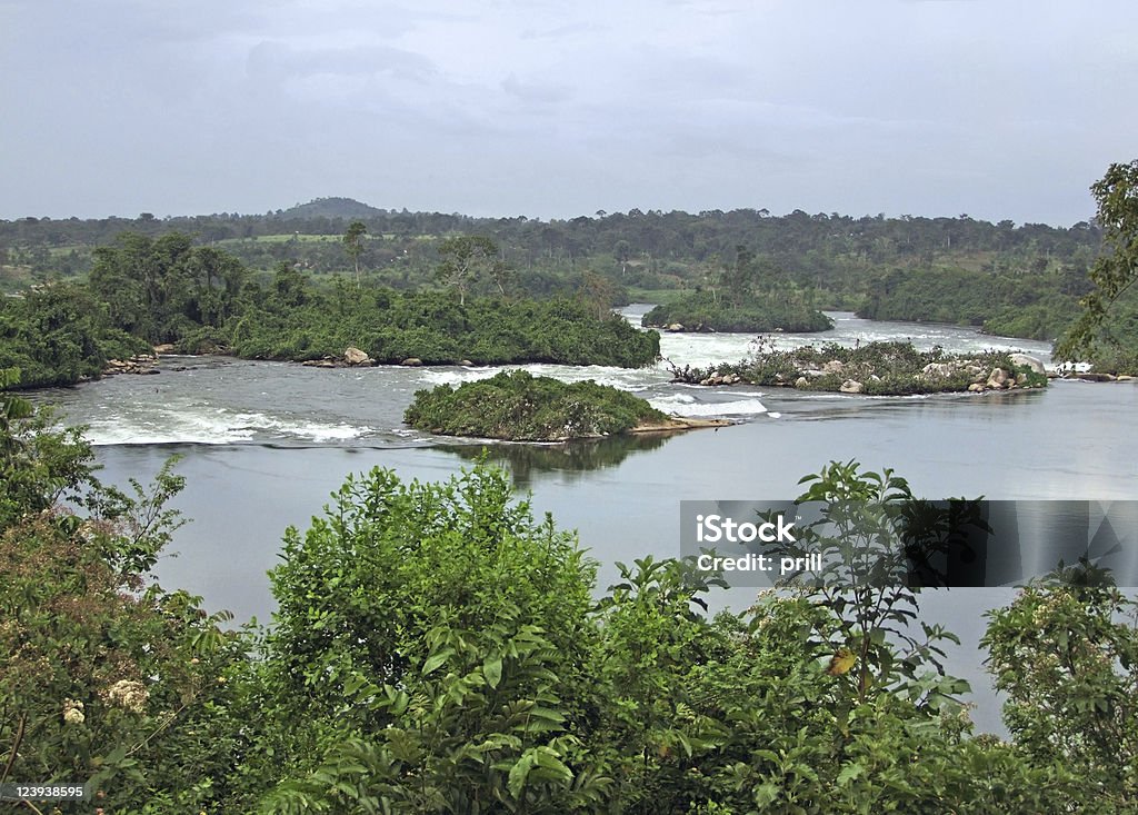 waterside River Nile scenery near Jinja in Africa waterside scenery showing the River Nile near Jinja in Uganda (Africa) in cloudy ambiance Africa Stock Photo