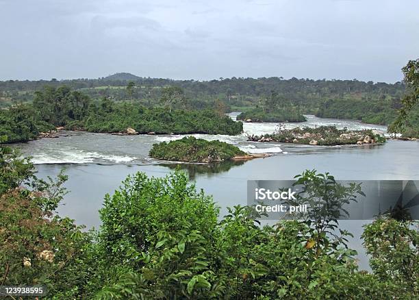 Waterside River Nile Scenery Near Jinja In Africa Stock Photo - Download Image Now - Africa, Animal Wildlife, Bush