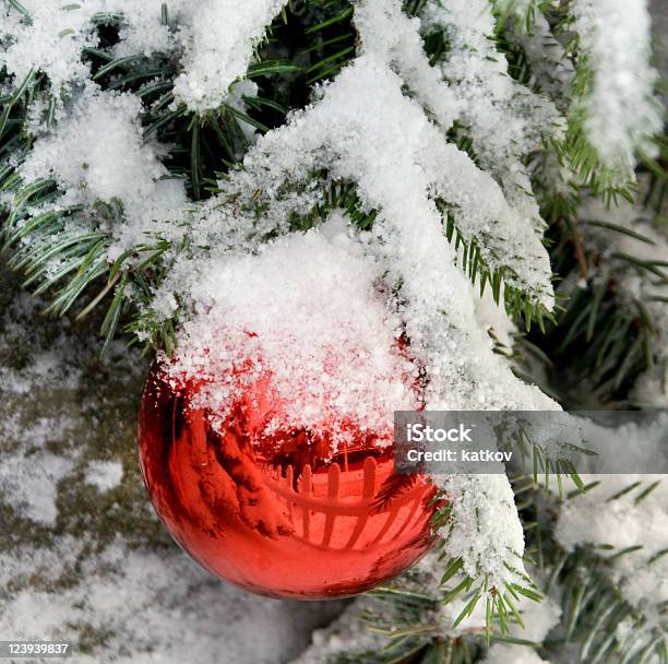 Photo libre de droit de Noël banque d'images et plus d'images libres de droit de Aiguille - Partie d'une plante - Aiguille - Partie d'une plante, Arbre, Arbre à feuilles persistantes