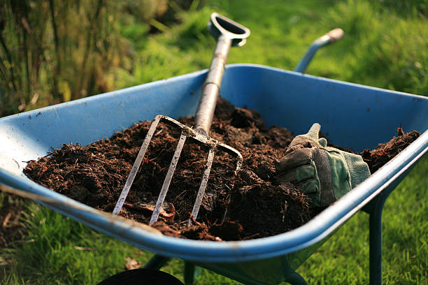 la cuisine bio jardinier - humus soil photos et images de collection