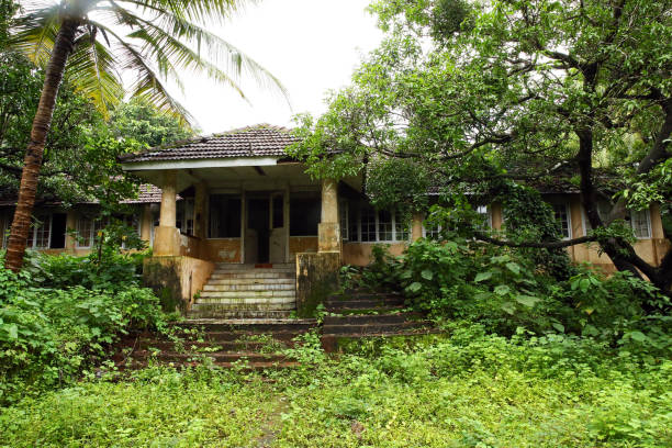 istock deserted house in  the forest 1239402857