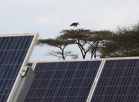 Solar panels at Kilanguni National Park