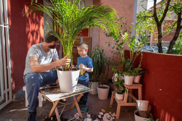 istock Good Care For His Plant 1239428067