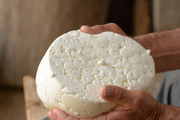 manos de pastor la forma del queso - cuajar fotografías e imágenes de stock