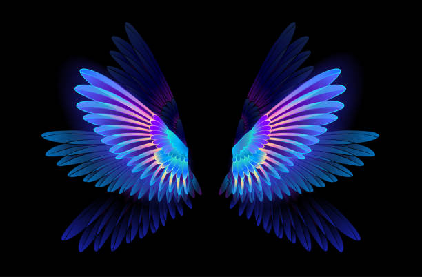 Glowing hummingbird wings Transparent, luminous, blue, iridescent hummingbird wings on dark background. aircraft wing stock illustrations