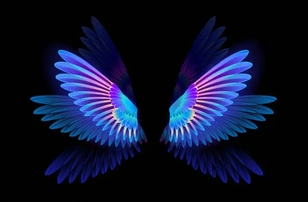 Vector illustration of Glowing hummingbird wings