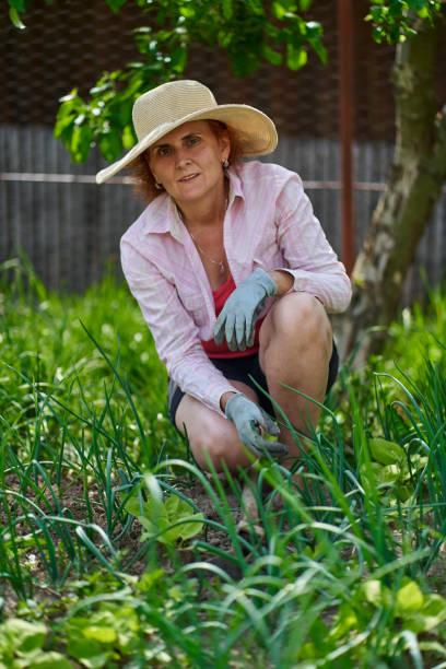 istock Farmer woman working in the garden 1239458739
