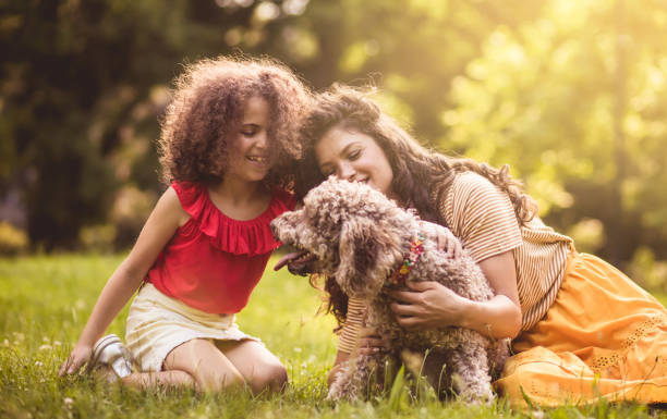 istock Our new friends. 1239466095