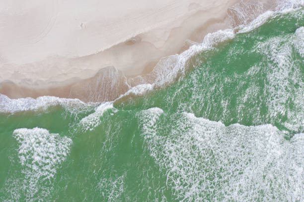 istock Baltic sea beach from above. Aerial drone shot. 1239486089