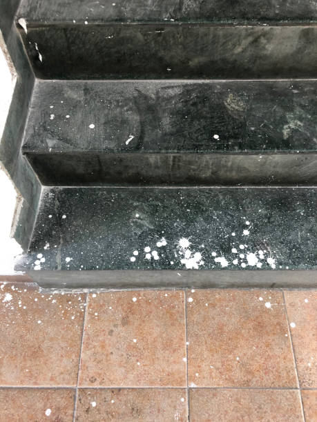 istock Image of treads and risers of dusty, grey granite staircase, looking down steps covered with masonry paint splatters and splashes, bad home interior decoration concept, elevated view 1239486643