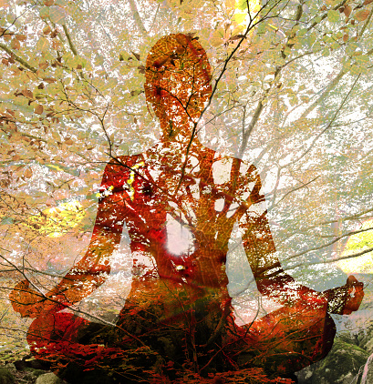 Double exposure of silhouette of woman doing yoga in lotus position over tree. Concept of connection with the universe and nature.