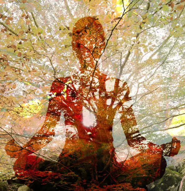 Photo of Silhouette of woman doing yoga in lotus position over tree. Concept of connection with the universe and nature.