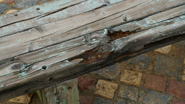 istock Old wooden benches in the park 1239513759