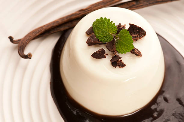 istock Panna Cotta with chocolate and vanilla beans 123951652