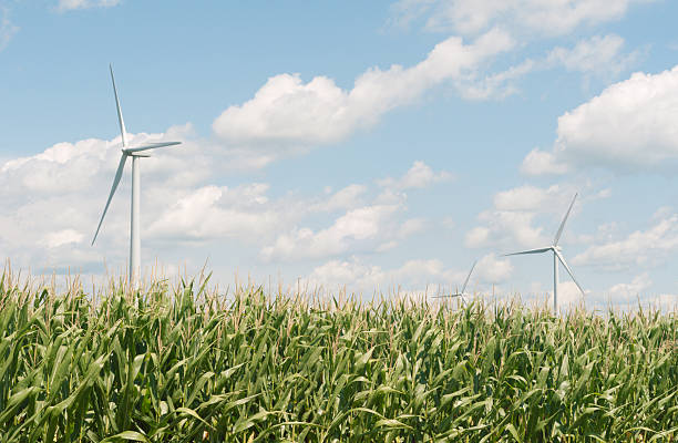 dmuchnij i rozwoju - illinois farm wind wind power zdjęcia i obrazy z banku zdjęć