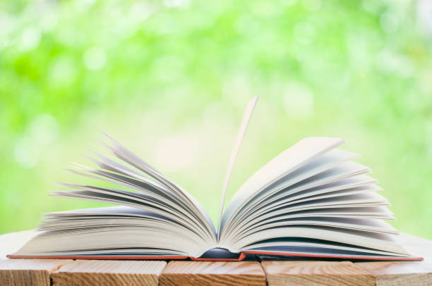 istock Open book on the wood table 1239525166