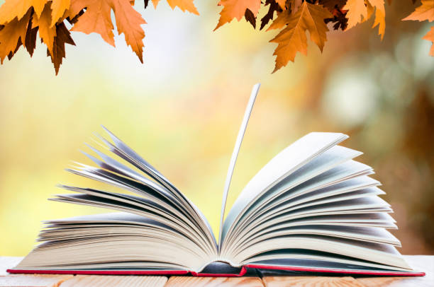 istock Open book on the autumn background 1239526196
