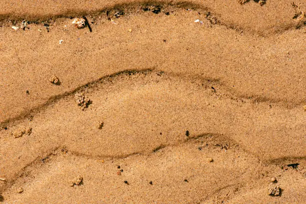 Real beach sand detailed macro closeup texture or background