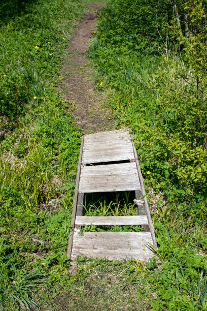 istock little wooden bridge with missing planks 1239526725