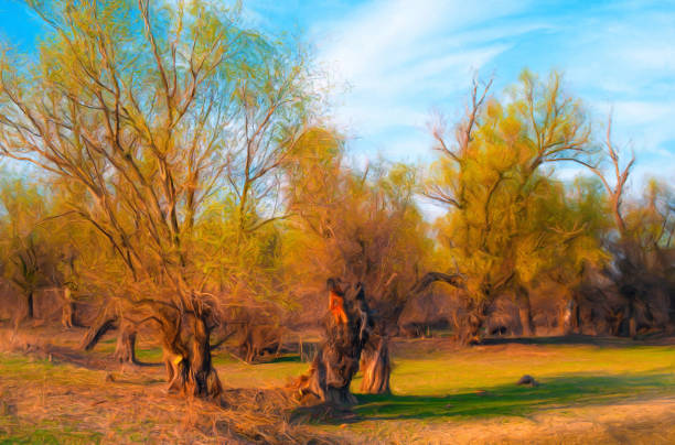 istock Oil landscape painting 1239550438