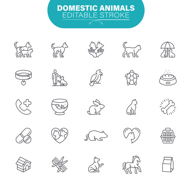 Domestic Animals. Set contains symbol as Veterinary, Animal, Cat, Dog, Illustration Pet Care, Animal, Fish, Puppy, Pet Food, Veterinarian, Editable Icon Set animal hospital symbol stock illustrations