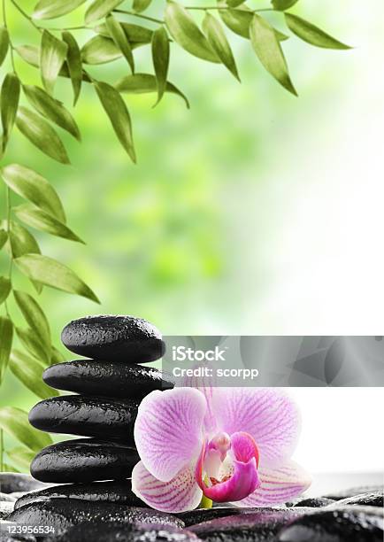 Spa Koncepcja - zdjęcia stockowe i więcej obrazów Aromaterapia - Aromaterapia, Czarny kolor, Część kwiatu