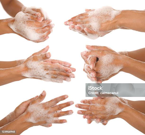 Washing Her Hands Stock Photo - Download Image Now - Soap Sud, Washing Hands, Adult