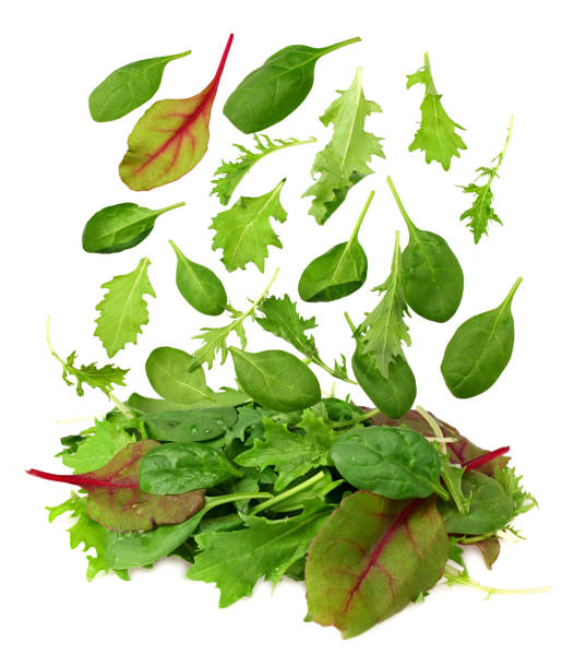 istock Mix of different salads isolated on white background 1239582100