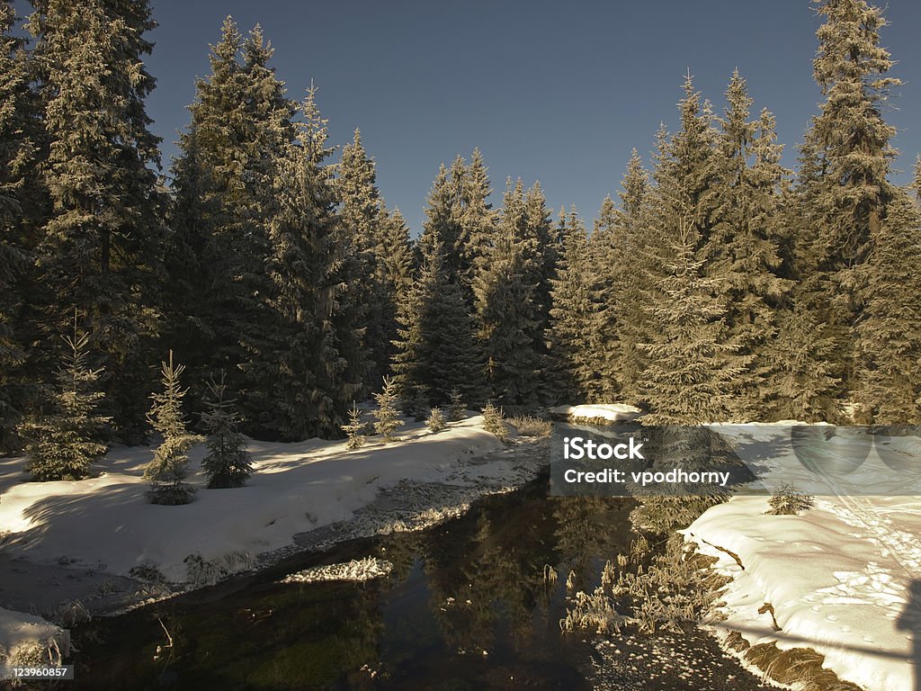 Winter brook - Lizenzfrei Bach Stock-Foto