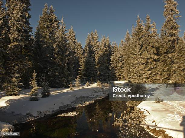 Winter Brook Stockfoto und mehr Bilder von Bach - Bach, Baum, Bedecken