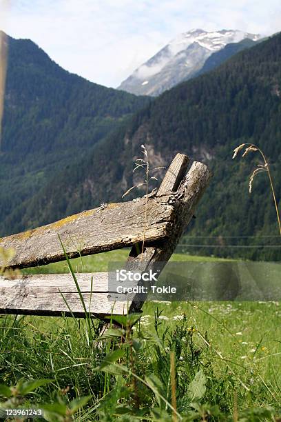 Alpenweide Stockfoto und mehr Bilder von Alpen - Alpen, Bildschärfe, Blume