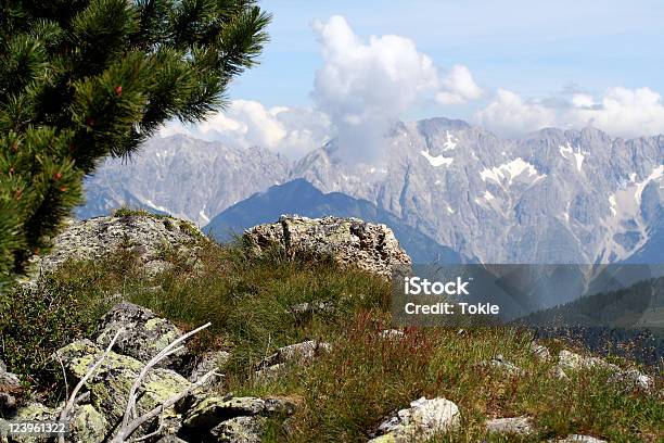 Blick Auf Die Berge Stockfoto und mehr Bilder von Alpen - Alpen, Baum, Bundesland Tirol