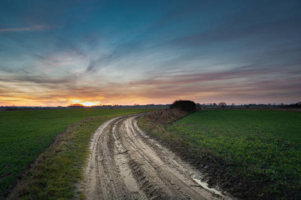 istock Sandy dirt road through green fields, colorful clouds on the sky after sunset 1239615219