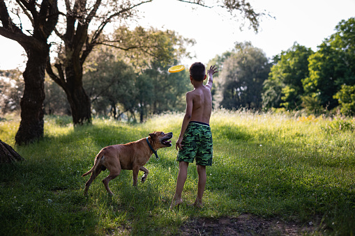 Little boy trowing frisbee to his dog in nature