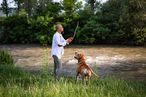 Man trains dog by the river
