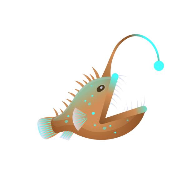 3,443 Deep Sea Fish Illustrations & Clip Art - iStock | Deep sea fish light