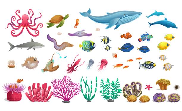 illustrations, cliparts, dessins animés et icônes de ensemble marin - anglerfish sea fish underwater