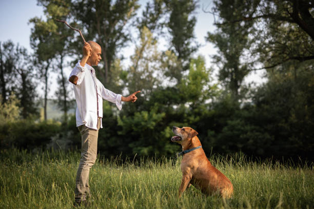 Man dressage his dog in nature