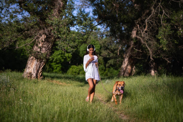 istock Teenage girl using smartphone while walking with her dog 1239627556