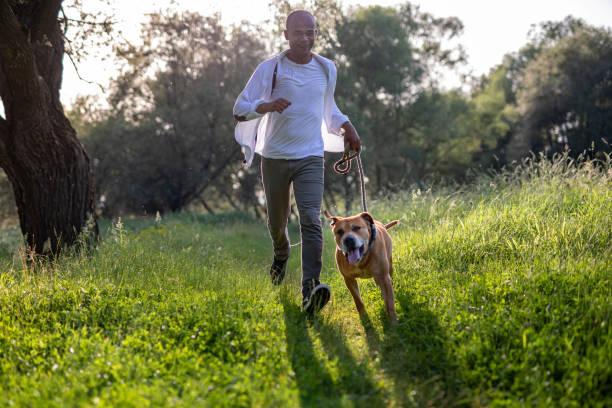 istock Smiling man running with dog 1239628593