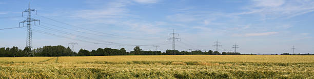 Power poles stock photo