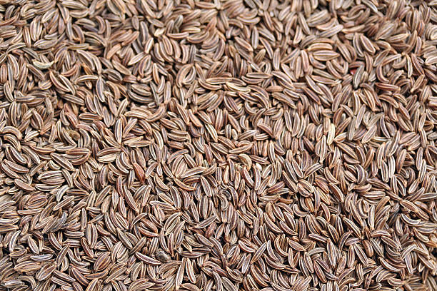 Caraway seeds stock photo