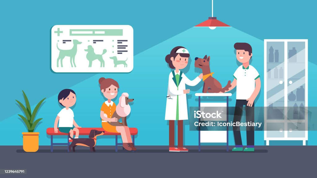 Veterinarian Woman Examining Terrier Dog In Veterinary Clinic Clients Sitting On Bench With Pets Canine Vet Service Doctor Dogs Health Care Medical Checkup Office Interior Flat Vector Illustration Stock Illustration - Download Veterinarian Woman Examining Terrier Dog In Veterinary Clinic Clients Sitting On Bench With Pets Canine Vet Service Doctor Dogs Health Care Medical Checkup Office Interior Flat Vector Illustration Stock Illustration - Download