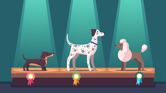 Dogs on winner pedestal with award ribbons at dog show. Dachshund, poodle & Dalmatian competition dog champions on podium under spotlights. Canine exhibition. Flat vector illustration