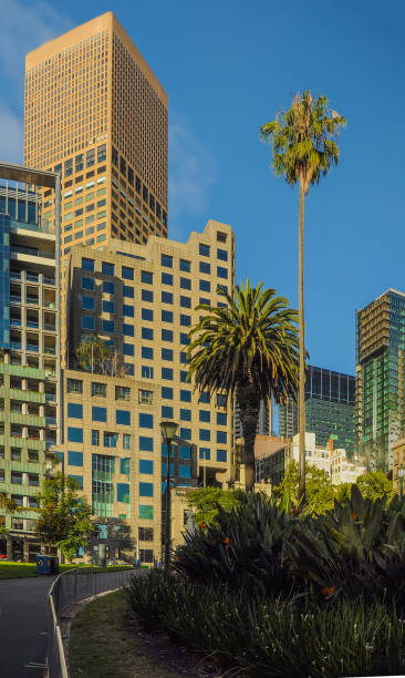 istock Immersed in the green of Melbourne. 1239653868