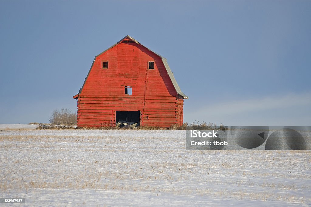 Celeiro vermelho neve a Barba Rala - Foto de stock de Celeiro royalty-free