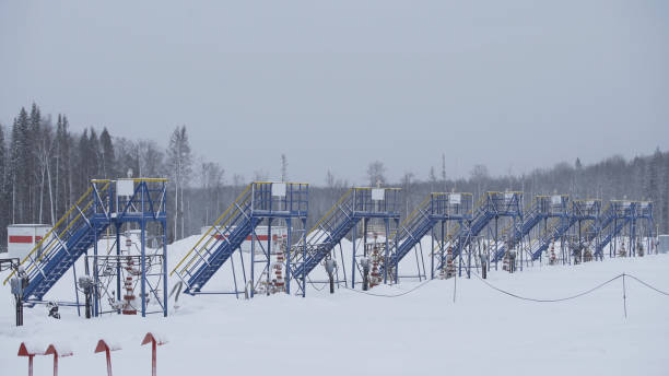 équipement de pompe à pétrole industriel fonctionnant et pompant le pétrole brut pour l’énergie de combustible fossile avec la plate-forme de forage dans le champ de pétrole en hiver. équipement pour puits d’huile de connexion tête de puits. - fossil fuel fuel and power generation fuel pump gasoline photos et images de collection